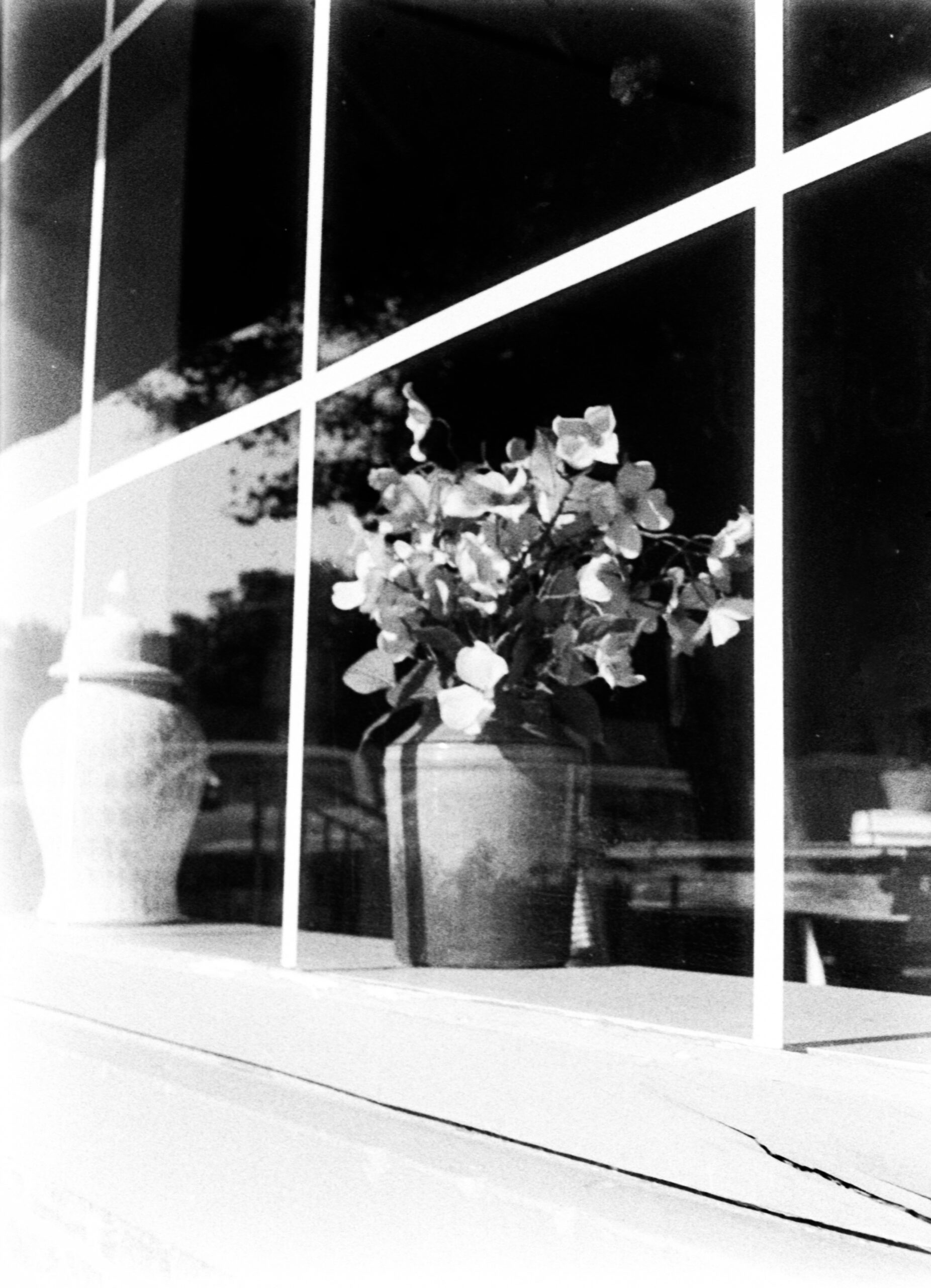 Orthochromatic Film – Black and White and (not) Red All Over